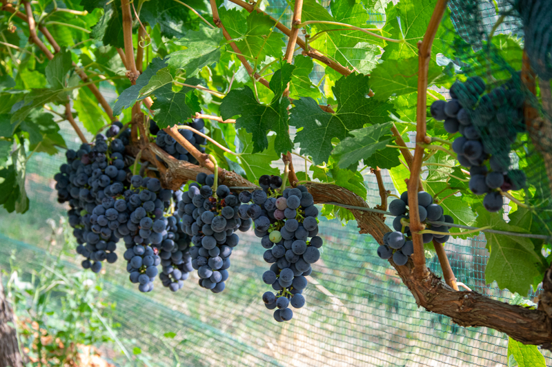 Illustration de l'actualité