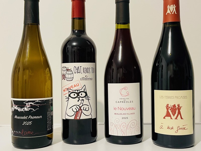 Illustration de l'actualité