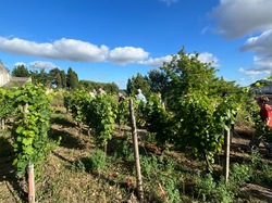 Illustration de la galerie