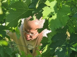 Illustration de la galerie