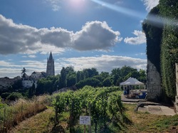 Illustration de la galerie