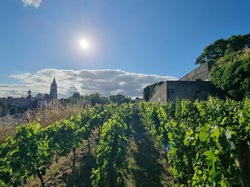 Illustration de la galerie