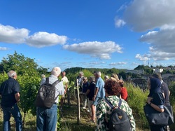 Illustration de la galerie