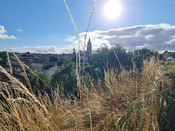 Illustration de la galerie