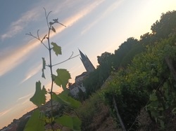 Illustration de la galerie