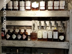 Illustration de la galerie