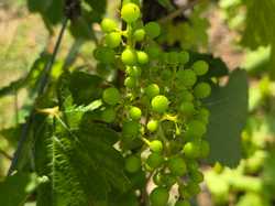 Illustration de la galerie