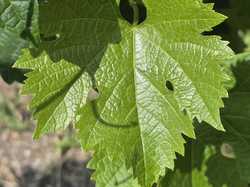 Illustration de la galerie