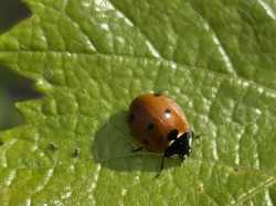 Illustration de la galerie