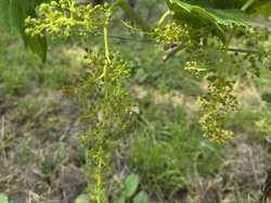 Illustration de la galerie