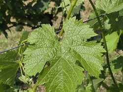 Illustration de la galerie