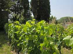 Illustration de la galerie