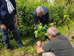 Illustration de la galerie