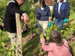 Illustration de la galerie