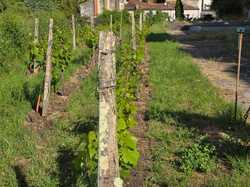 Illustration de la galerie