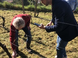 Illustration de la galerie