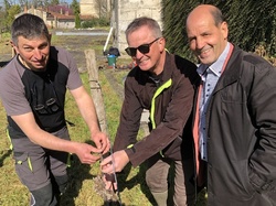 Illustration de la galerie