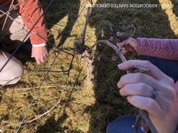 Illustration de la galerie