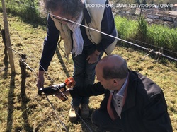 Illustration de la galerie