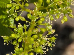 Illustration de la galerie