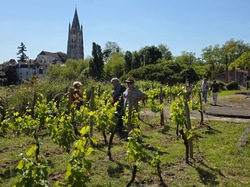 Illustration de la galerie