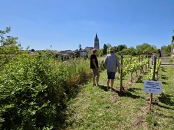 Illustration de la galerie