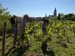 Illustration de la galerie