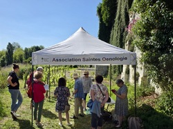 Illustration de la galerie