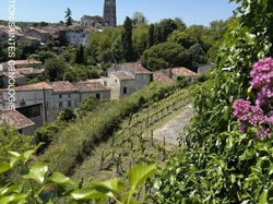 Illustration de la galerie