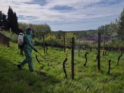 Illustration de la galerie