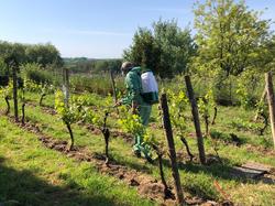 Illustration de la galerie