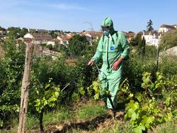 Illustration de la galerie