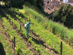 Illustration de la galerie