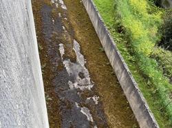 Illustration de la galerie