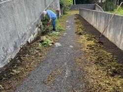 Illustration de la galerie