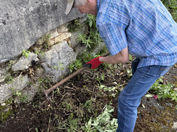 Illustration de la galerie