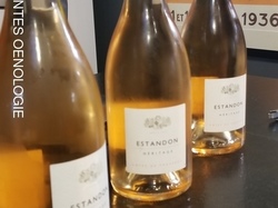 Illustration de la galerie