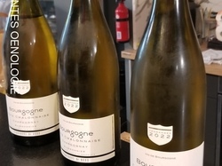 Illustration de la galerie