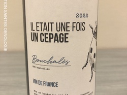 Illustration de la galerie