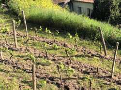 Illustration de la galerie