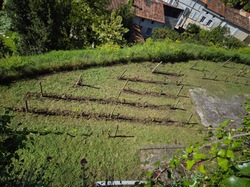 Illustration de la galerie