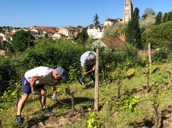 Illustration de la galerie