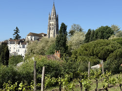 Illustration de la galerie