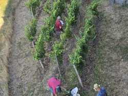 Illustration de la galerie