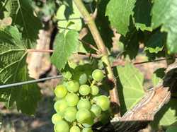 Illustration de la galerie