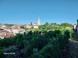 Illustration de la galerie