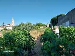 Illustration de la galerie