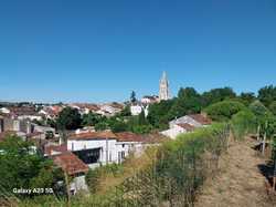 Illustration de la galerie