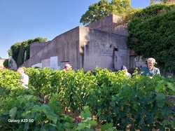 Illustration de la galerie