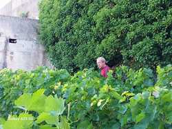 Illustration de la galerie